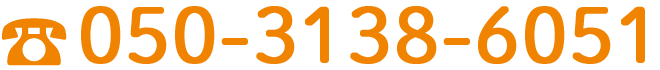 050-3138-6051