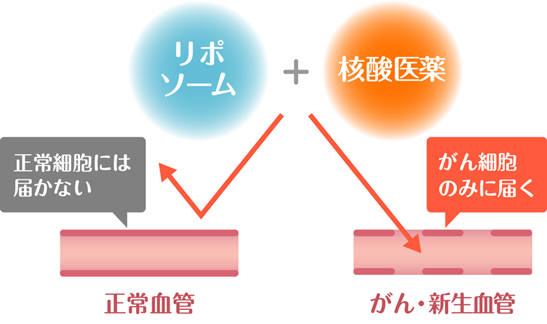 薬剤をがんに集中させる仕組み